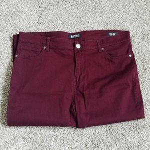Buffalo David Bitton Burgundy Stretch pant